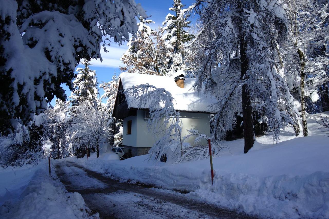 Forest House Villa Vrhnika Exterior photo