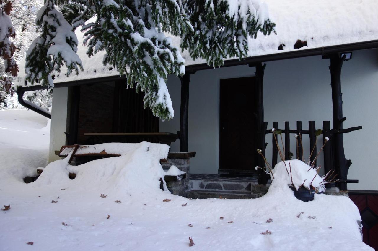 Forest House Villa Vrhnika Exterior photo